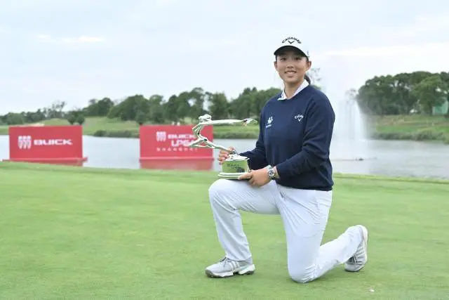 DIs, 业余和职业 DIs, 业余和职业