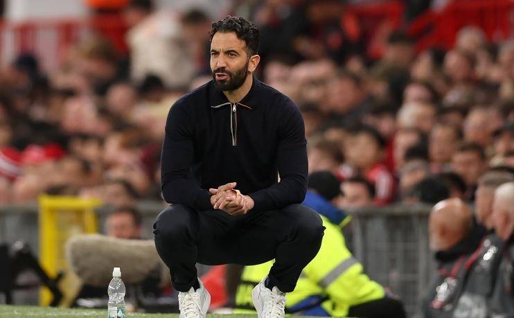 公里才能看 公里才能看